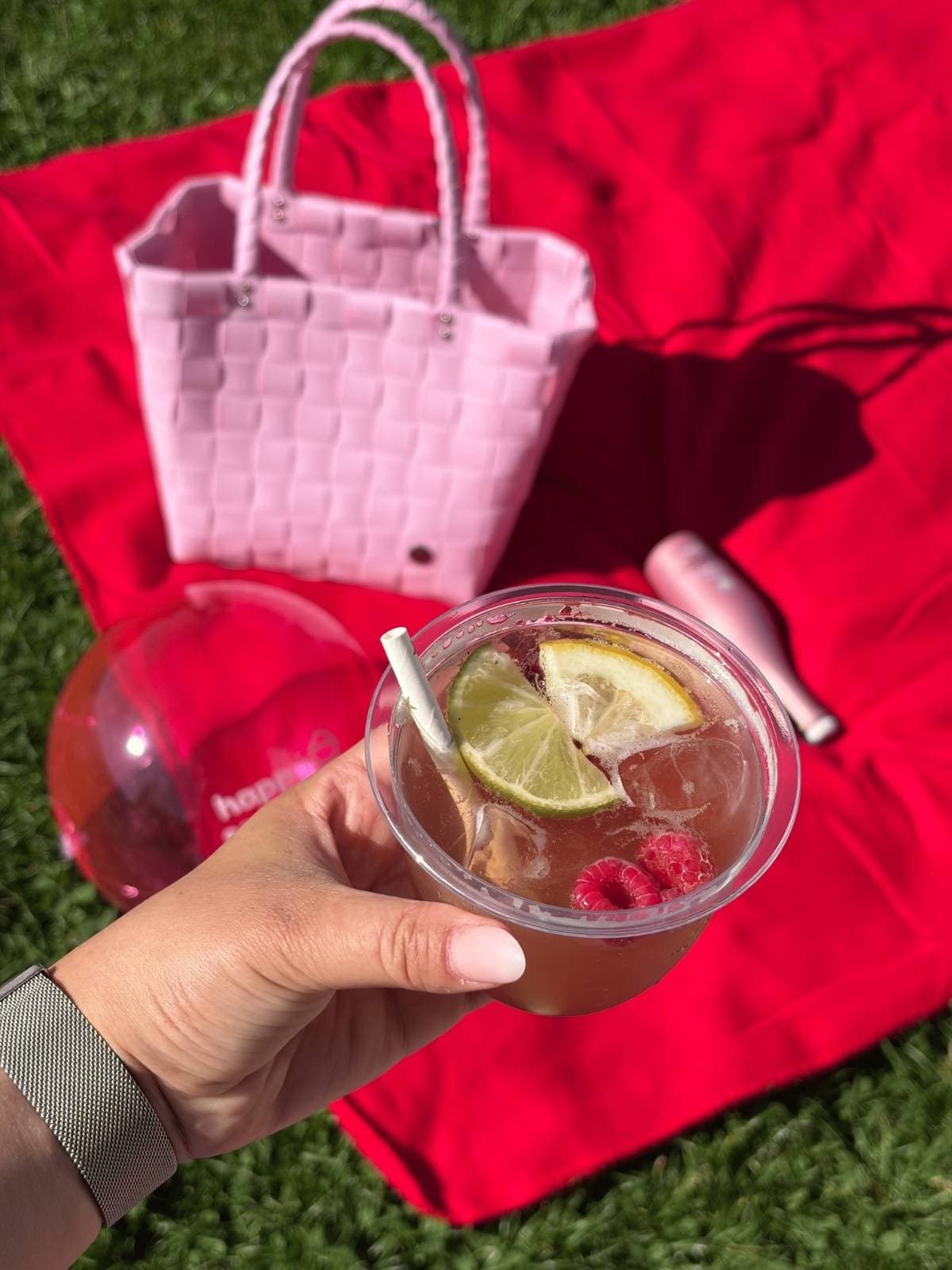 happy picknick Impression 3